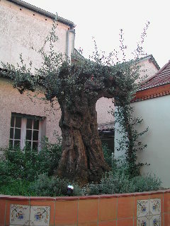 Inter-hotel La Reine Jeanne