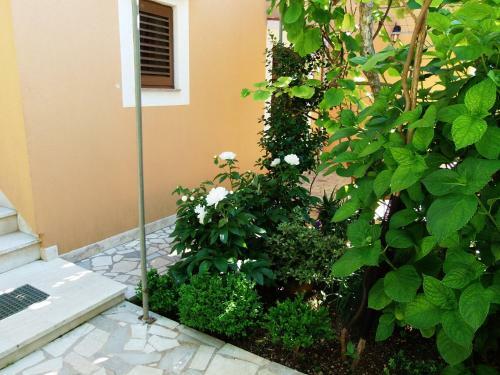 Apartments Beba