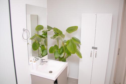 Apartamento Ap Sunno Beach 503