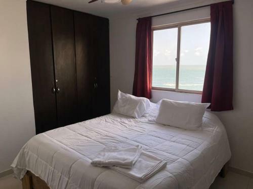 Apartamento Cozy Beachfront Apt Great Views