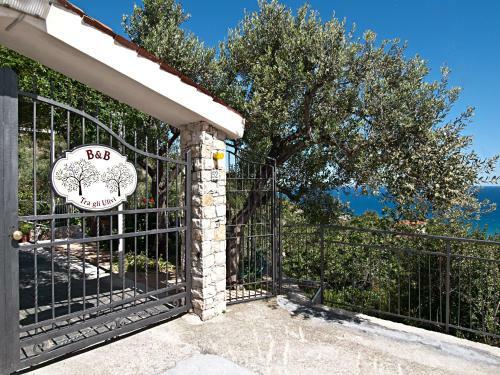 Bed & Breakfast Tra Gli Ulivi