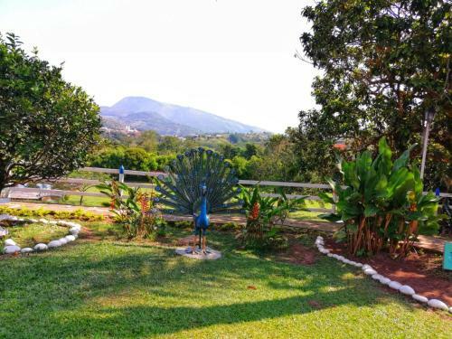 Hotel Campestre Capilla Del Pienta