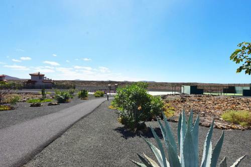 Book Jet - Origo Pelican Dream House