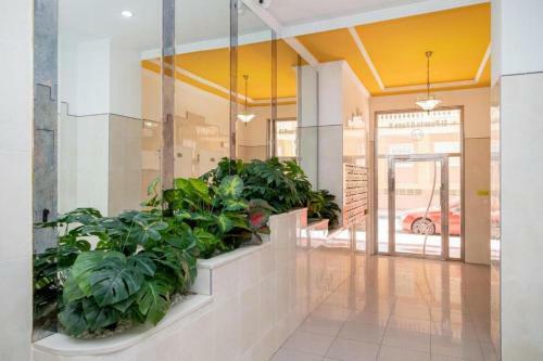 Bonito Apartamento En Torrevieja