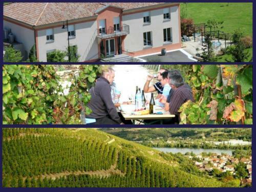 Hotel H�tel Le Domaine Des Vignes