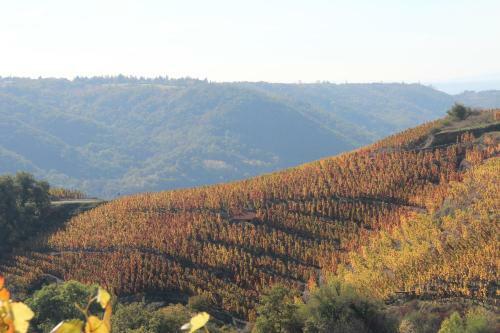 Hotel H�tel Le Domaine Des Vignes