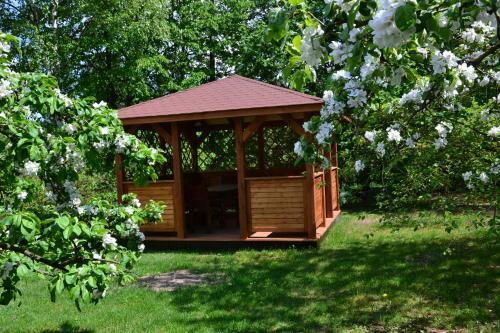 Bed & Breakfast Go?ciniec Yaga