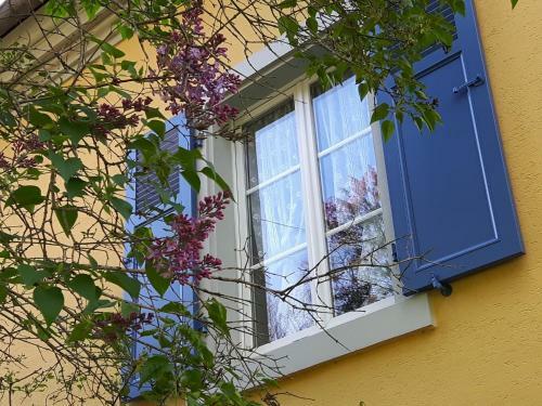 Bed & Breakfast Les Volets Bleus Alsace Vosges