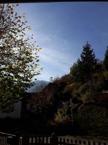 Bed & Breakfast Les Volets Bleus Alsace Vosges