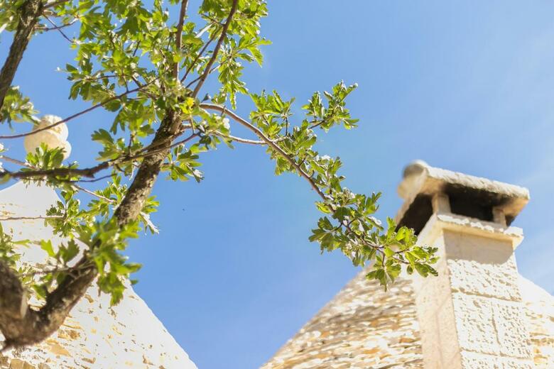 Villa Trullo Del Lazzarone By Wonderful Italy