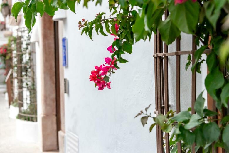 Maison Salva - Hotel Boutique
