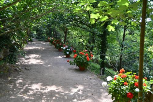 Bed & Breakfast Ch�teau De Peufeilhoux