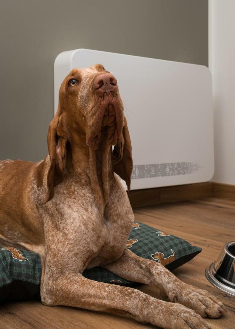 Green Hotel Genzianella