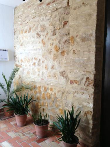 Quartos City Apartments Carmona