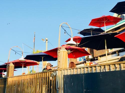 Sun N Fun Beachfront Vacation Rentals