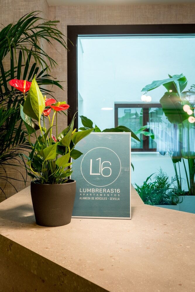 Apartamentos Atlumbreras16