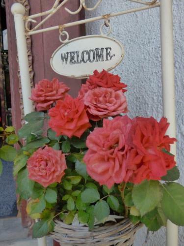 Hostal Hotel Gasthof Klammstein