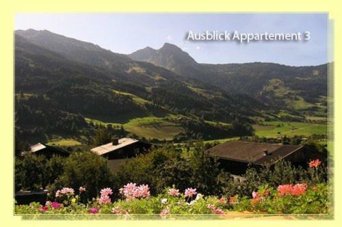 Apartamento Haus Mitterlechner