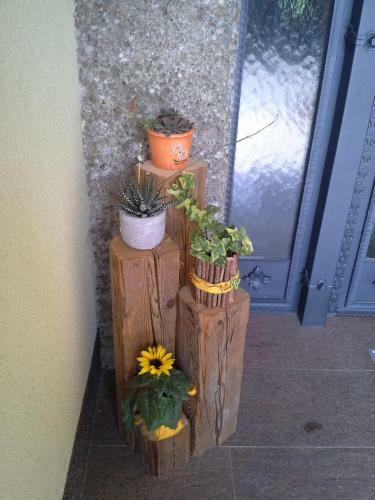 Apartamento Haus Mitterlechner