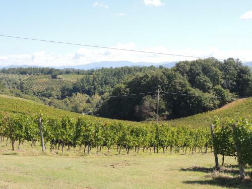 Agroturismo Agriturismo Macinello