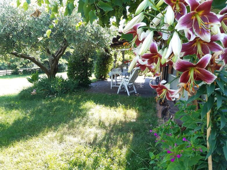 Agroturismo Holiday Home Gherla Crespano Del Grappa