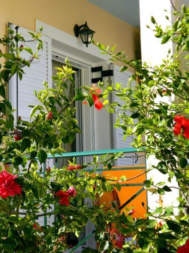 Apartamento Irene Studios Kefalonia