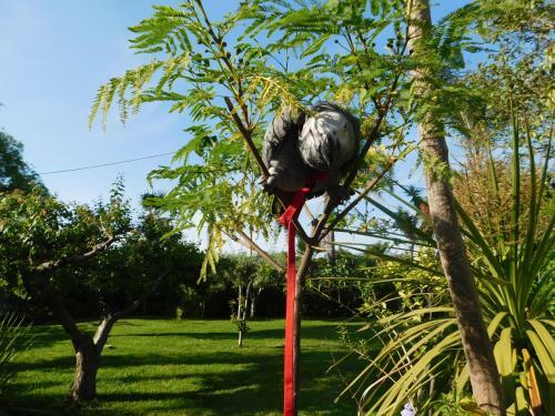 Bed & Breakfast Villa Delle Vacanze