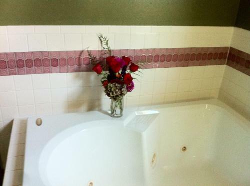 Grand Avenue Bed And Breakfast