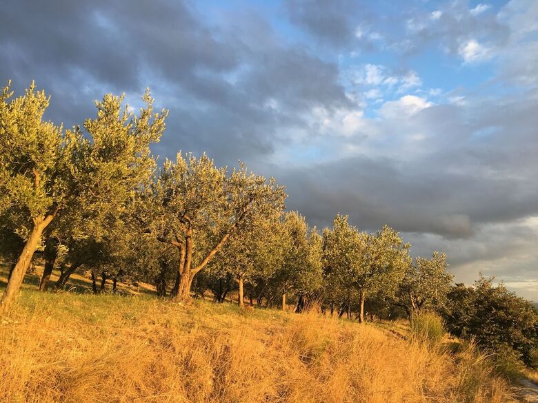 Agroturismo Setter House Agri Hotel