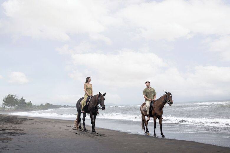 Hotel Swan Paradise A Pramana Experience