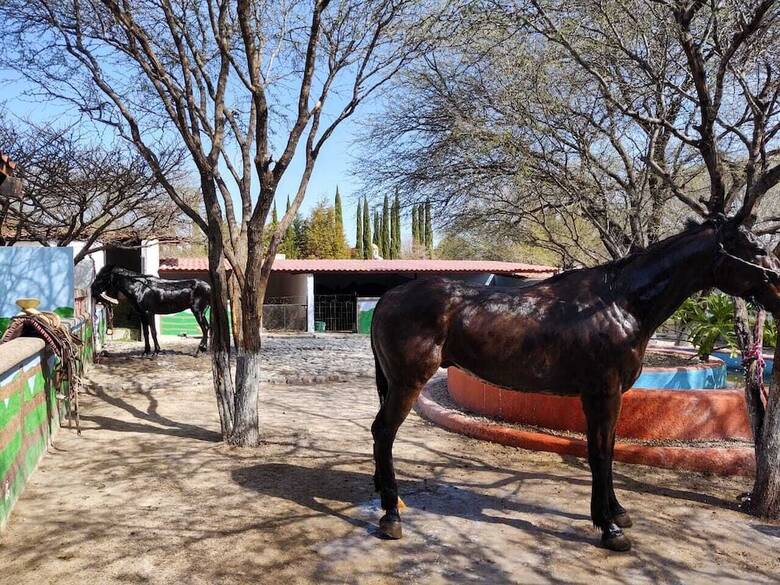 Hotel Rancho Los Labradores