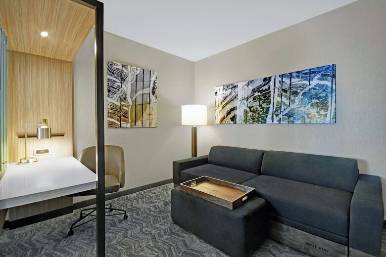 Hotel Springhill Suites By Marriott St. Paul Arden Hills