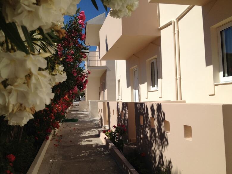 Amaryllis Front Beach Hotel