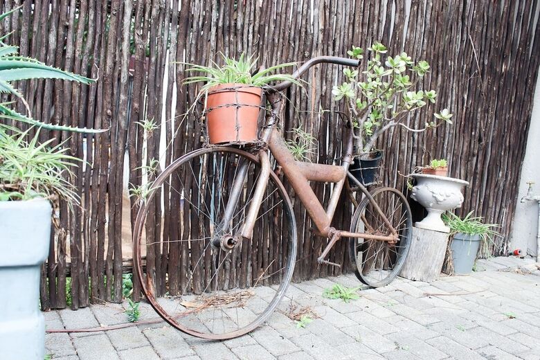Cozy Guesthouse In Sandton.