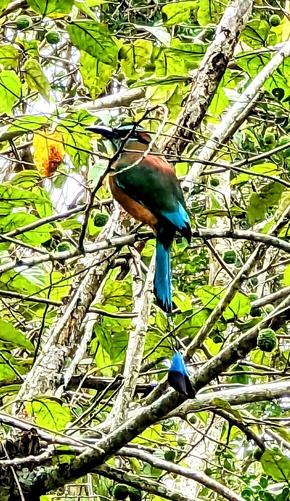 The Blue Eco Lodge - Adults Only