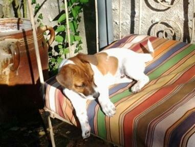 Bed & Breakfast La Closerie Du Bucher