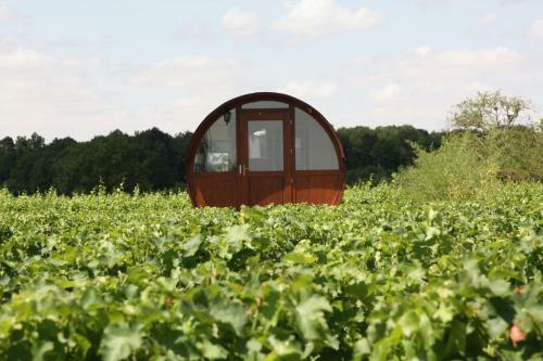 Les Sens De La Terre