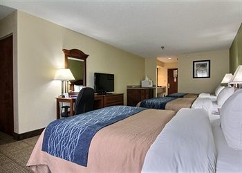 Hotel Comfort Inn Darien