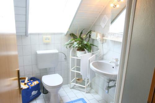 Hostal Pension Weber