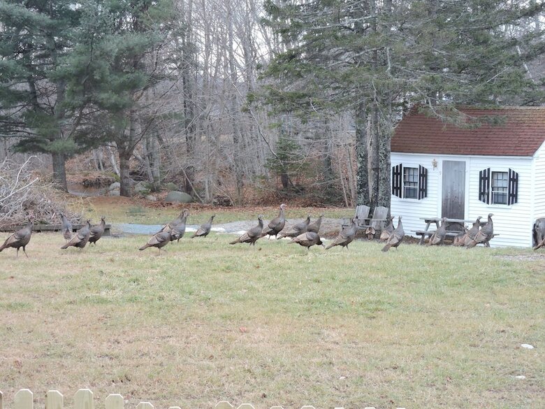 Hotel Open Hearth Inn