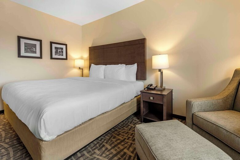 Hotel Comfort Inn & Suites Pittsburgh-northshore
