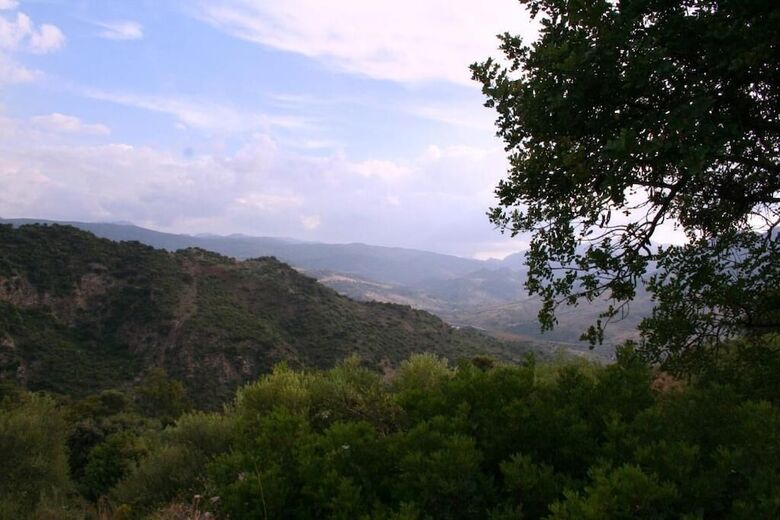 Casa Rural Los Algarrobales