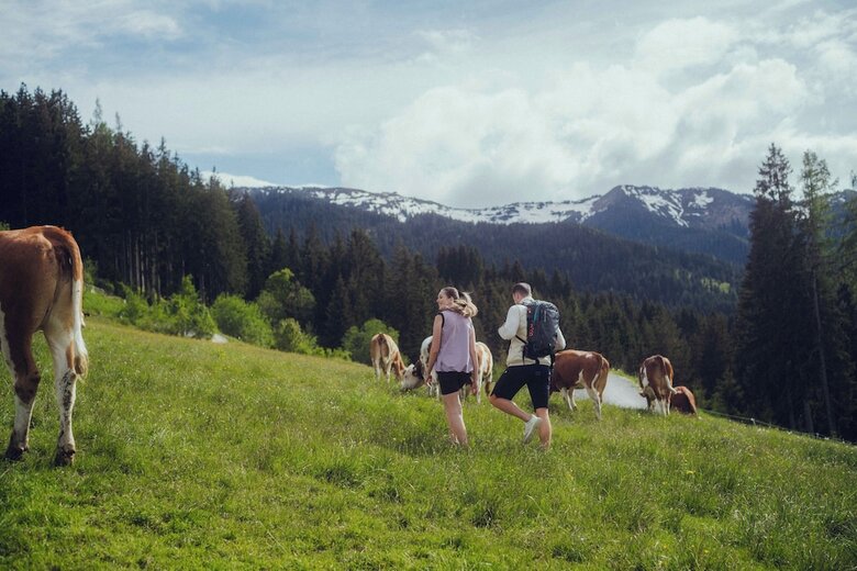 Hotel Forsthofalm
