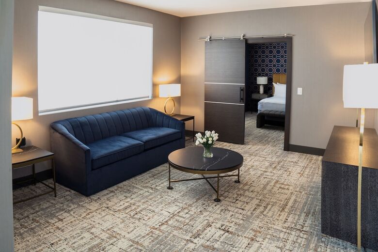 Hotel Springhill Suites By Marriott Chicago Chinatown