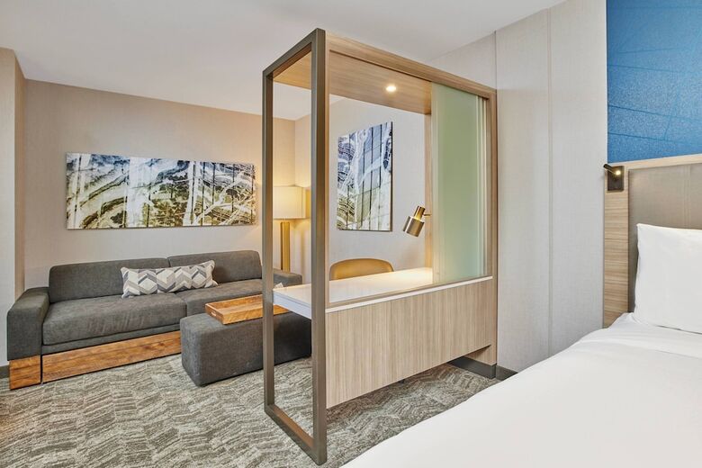 Hotel Springhill Suites By Marriott Chicago Chinatown