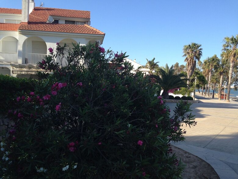 Aparthotel Apartamentos Ornis
