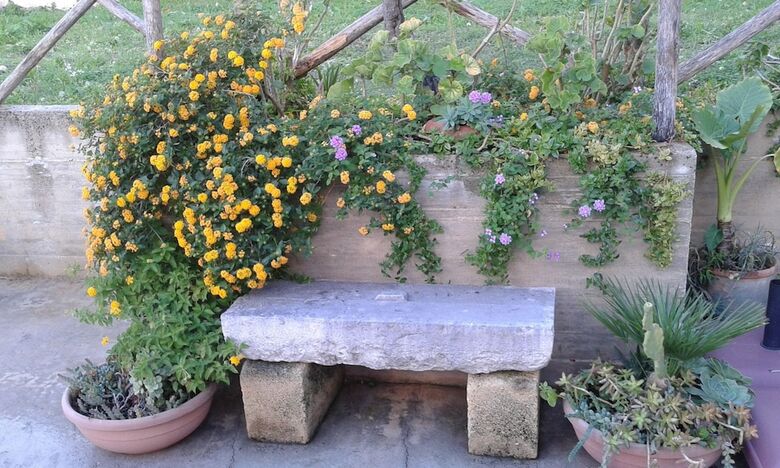 Bed & Breakfast Baglio Ferlito