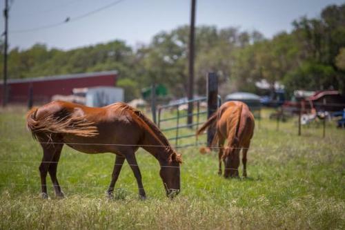The Palette Pad At Scurlock Farms