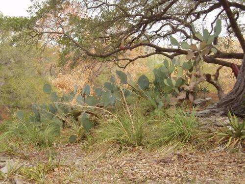 Rocky Overlook At Scurlock Farms