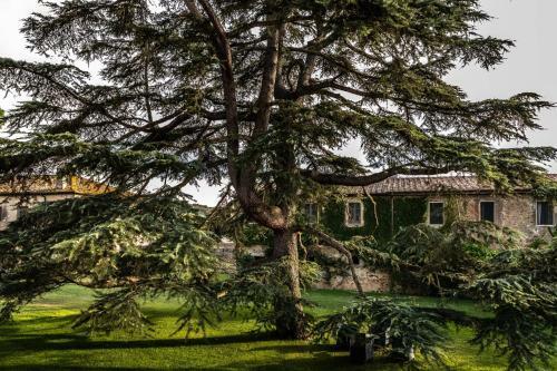 Agroturismo Tenuta La Pescaia